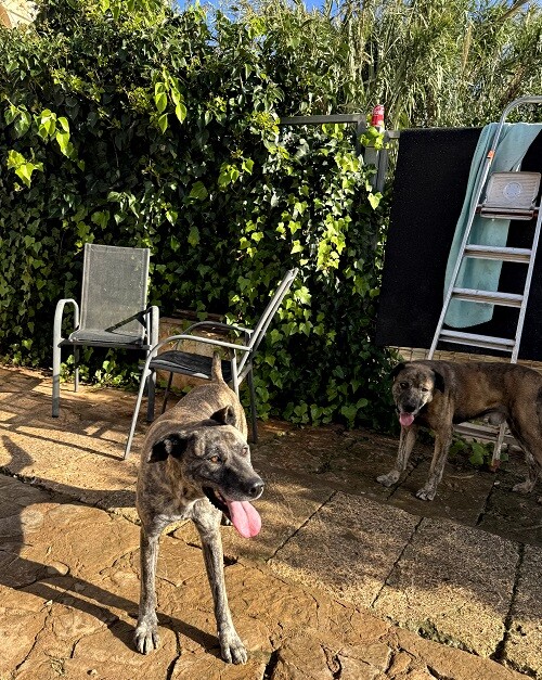 ESTRELLA V70 – Bild 10