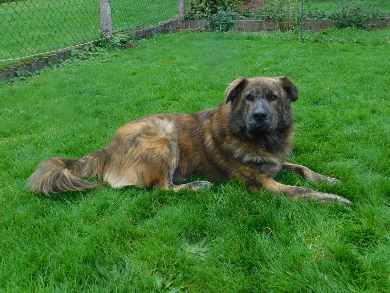 TEDDY S 283 – Bild 24